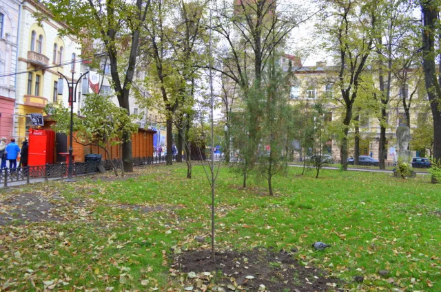 У сквері Руської трійці висадили молоді ясені — фото 4