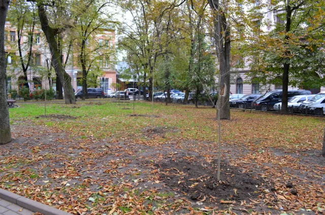 У сквері Руської трійці висадили молоді ясені — фото 6