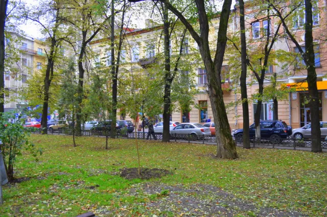 У сквері Руської трійці висадили молоді ясені — фото 9