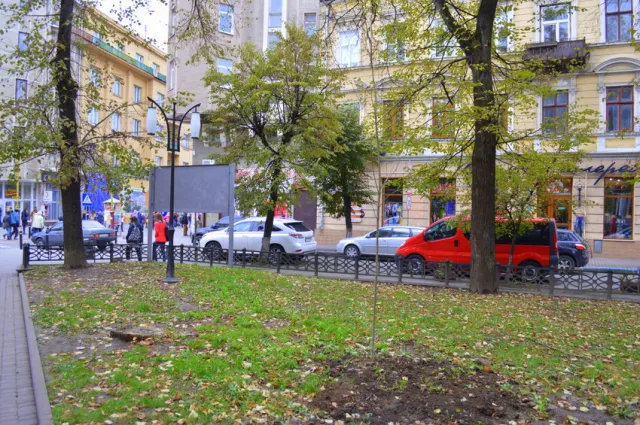 У сквері Руської трійці висадили молоді ясені — фото 10