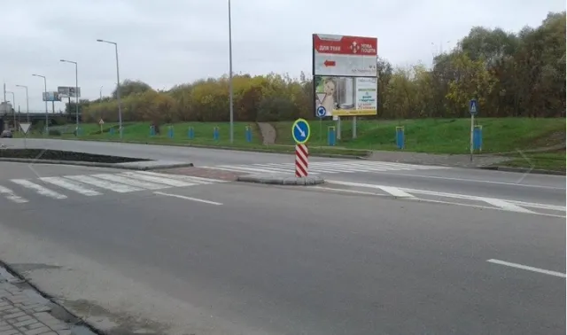 Вздовж усієї вулиці Надрічної з'явиться алея райських яблунь — фото 2