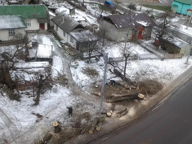 Франківці обурені вчинком власників приватних будинків, що зрубали дерева по вулиці Пасічній — фото 1
