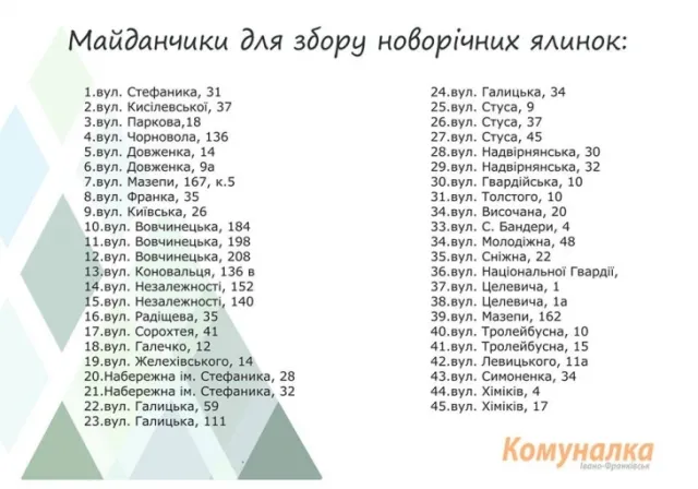 Стали відомі адреса куди зносити ялинки, інакше - штраф — фото 1