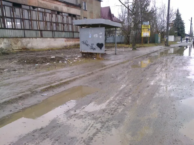 У Франківську одна із "розумних" зупинок потопає у болоті — фото 1