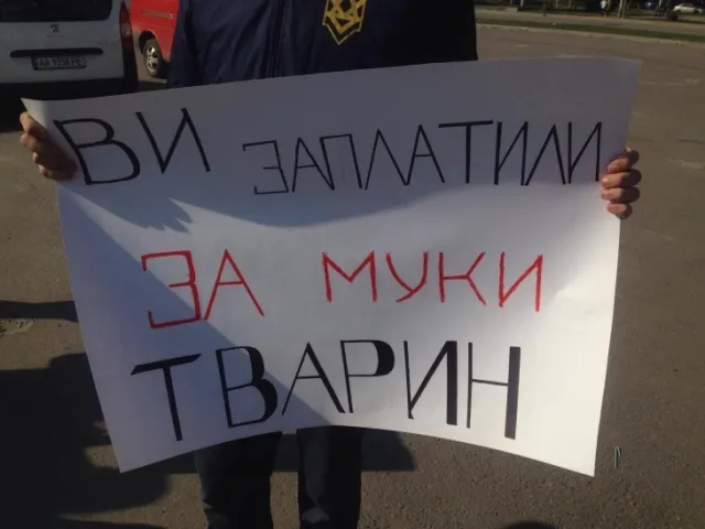 В Івано-Франківську відбувся протест проти умов жорстокого ставлення до тварин та жахливих умов утримання їх у цирках — фото 3