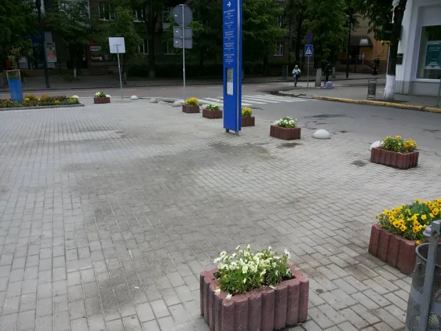 Франківці активно показують наслідки святкування Дня міста — фото 4
