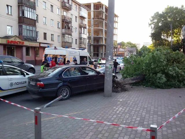 ДТП на Василіянок: жінка врізалася в дерево та знесла два металеві стовпці. У пасажира автомобіля знайшли наркотики. Всі деталі аварії — фото 2