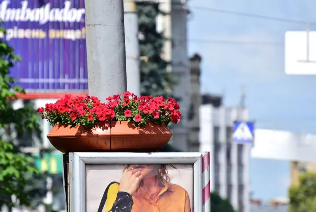 На вулиці Страчених облаштували нові підвищення перед переходом, а на Незалежності  опори освітлення прикрасили вазонами із квітами — фото 5
